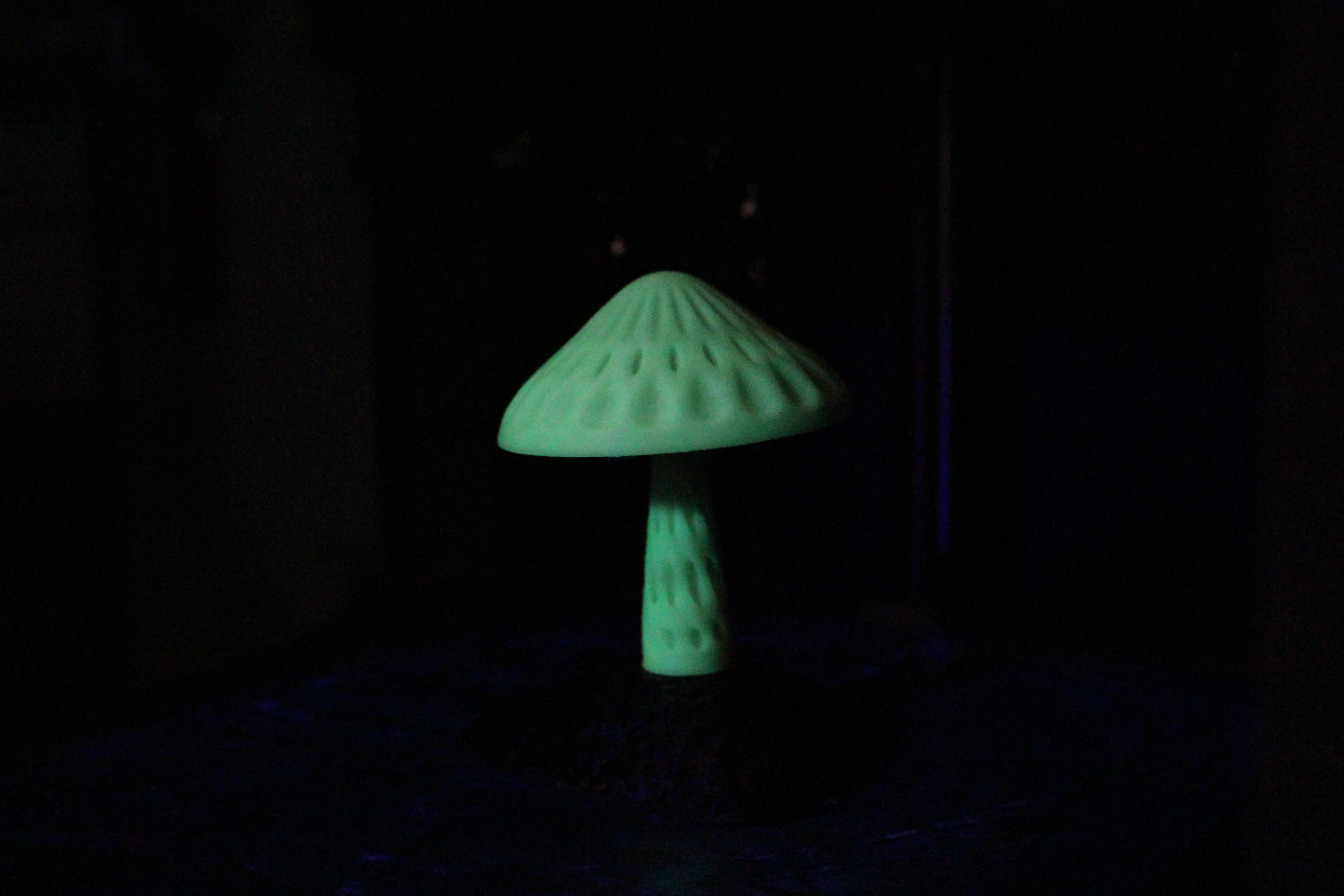 3DE Premium - PETG Glow In Dark - Green - 1.75mm - 1kg - Image 4