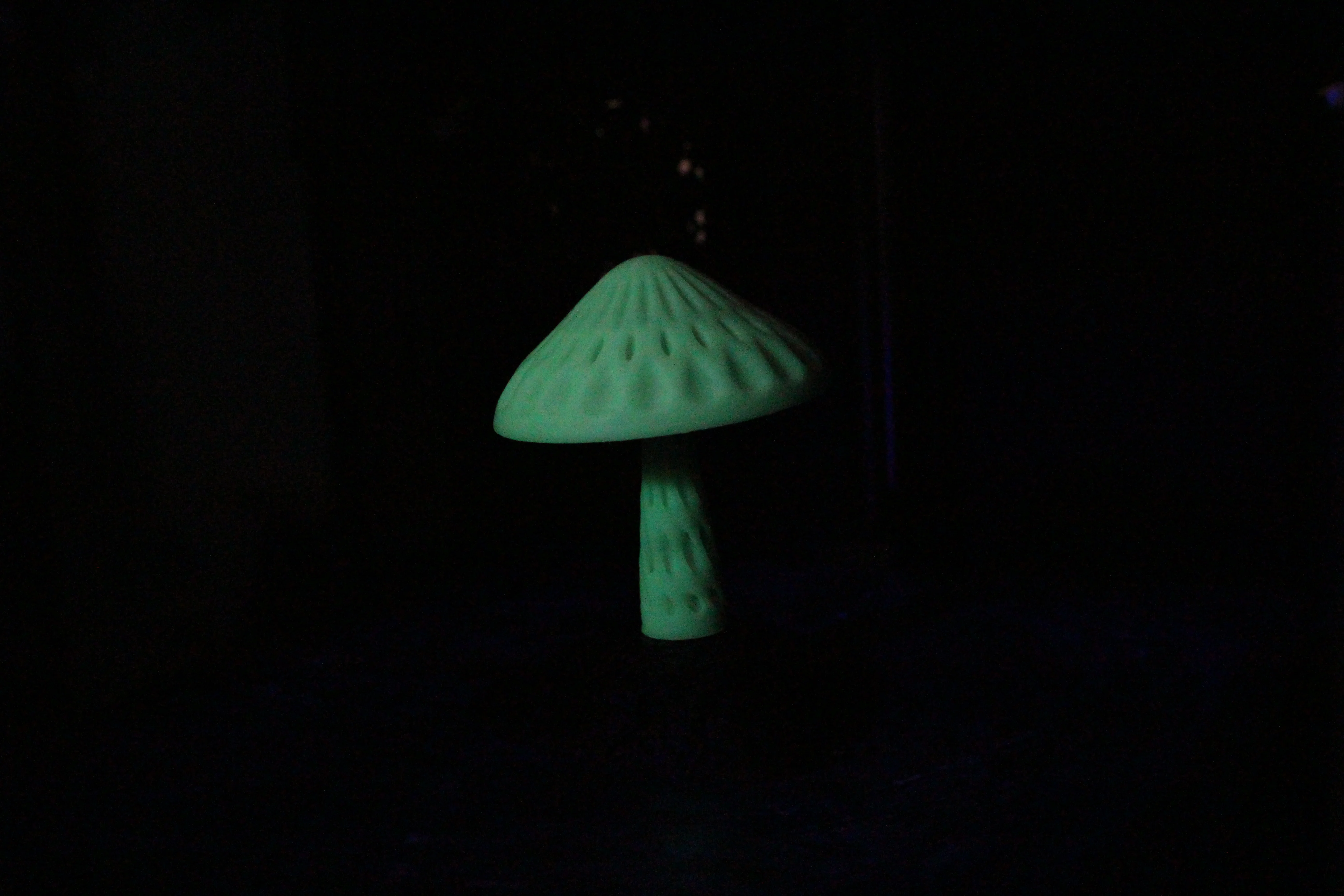 3DE Premium - PETG Glow In Dark - Green - 1.75mm - 1kg - Image 5